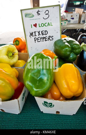 Prodotti locali freschi peperoni in vendita presso il centro dell'agricoltore nel mercato San Catharines, Ontario, Canada. Foto Stock