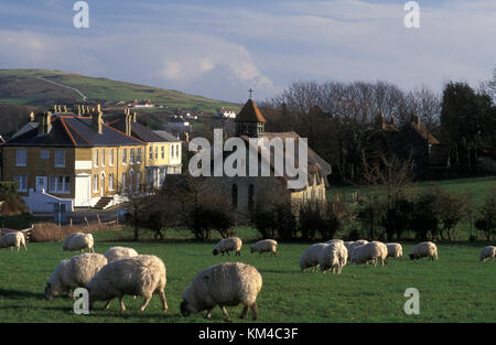 Pascolo di pecore di fronte alla Chiesa di Sant'Agnese, Freshwater Bay, Isola di Wight, Hampshire, Inghilterra Foto Stock