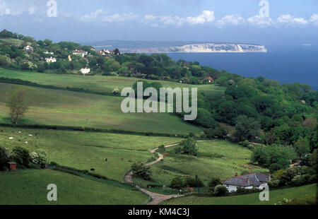 Luccombe Chine guardando verso le scogliere di Culver e Sandown, Isola di Wight, Hampshire, Inghilterra Foto Stock