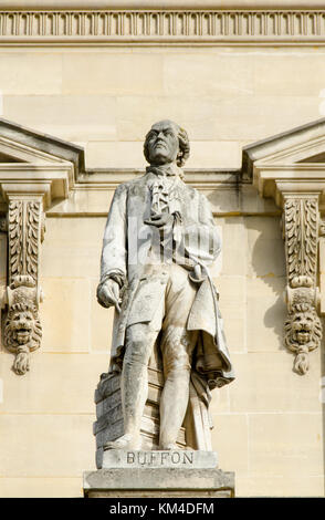 Parigi, Francia. Palais du Louvre. Statua nella cour Napoleon: Georges-Louis Leclerc, Comte de Buffon (1707 - 1788) il naturalista francese, matematico, c Foto Stock