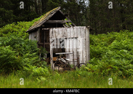 Tumbledown capannone con la vecchia bicicletta atto sul bordo di una foresta di Glen Etive, Highlands della Scozia Foto Stock