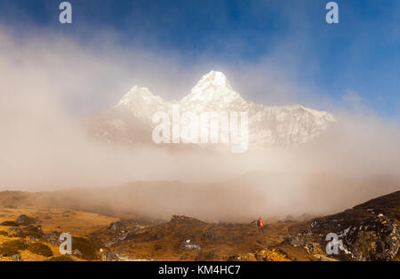 Trekker sotto Ama Dablam in Nepal himalaya Foto Stock