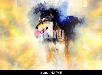 Cane e sfondo astratto, belle macchie di colore struttura. Foto Stock