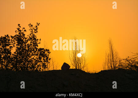 Le albe in Arabia Saudita con Orange Sky e silhouette di alberi Foto Stock