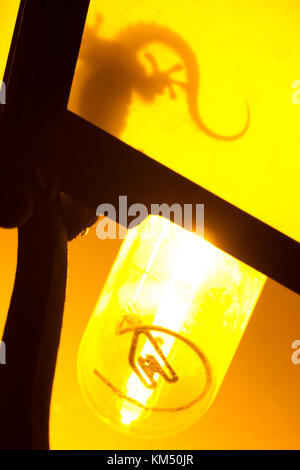 Un gecko (tarentola mauritanica) è in attesa di una preda sfruttando strada lampada come una trappola (la luce di notte attrachts insetti). Foto Stock