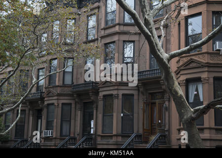 Classic case di arenaria in una strada residenziale di Park Slope, Brooklyn, New York. Foto Stock