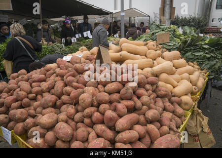 La gente acquista per ortaggi al Grand Army Plaza Farmers Market appena prima del giorno del Ringraziamento, Brooklyn, New York. Foto Stock