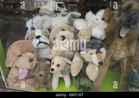 Bambole nella vetrina di un negozio di giocattoli a Park Slope, una famiglia di quartiere, in Brooklyn New York Foto Stock