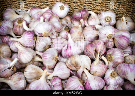 Fresche e mature aglio organico durante il fine settimana dell'agricoltore nel mercato penticton, British Columbia, Canada. il mercato degli agricoltori vende ortaggi freschi, produrre Foto Stock