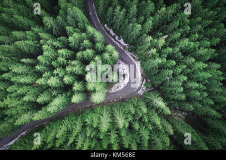 Strada vuota in una foresta da un drone Foto Stock