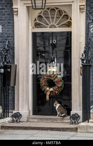 Londra, Regno Unito. 5 Dic, 2017. larry di Downing street cat, ouotside 10 Downing street credit: Ian Davidson/alamy live news Foto Stock