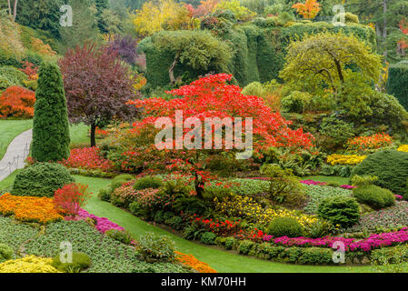 Autunno a colori, il Sunken Garden, Butchart Gardens, Brentwood Bay, l'isola di Vancouver, British Columbia, Canada Foto Stock