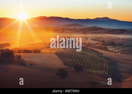 Toscana, paesaggio panoramico con la famosa casa colonica colline e valli in beautiful Golden. La luce del mattino al sorgere del sole in estate, val d'orcia, ital Foto Stock