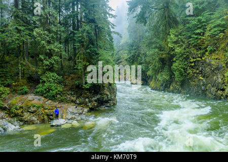 Pescatore, il Capilano River, il Capilano River Regional Park, N. Vancouver, British Columbia, Canada. Foto Stock