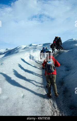 Gli escursionisti sul ghiacciaio Perito Moreno, Parque Nacional Los Glaciares (area del patrimonio mondiale), Patagonia, Argentina, Sud America Foto Stock