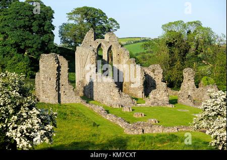 Inch Abbey vicino a Downpatrick, County Down, Irlanda del Nord. Norman abbazia cistercense fondata 1180 da John de courcy. Foto Stock