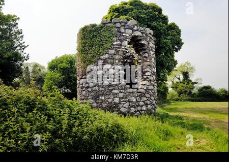 Rovinato medievale cristiana celtica torre rotonda a Marghera vecchia chiesa di San Donairt. Castlewellan, County Down, Irlanda del Nord Foto Stock