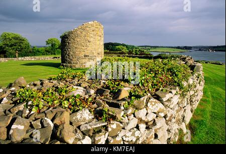 Il moncone della torre rotonda all'interno di massicce mura del monastero nendrum, isola mahee, Strangford Lough, Co. Down, Irlanda del Nord. Foto Stock