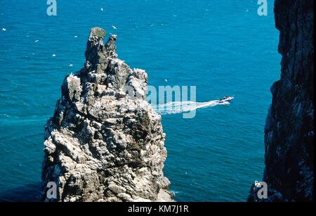 Motoscafo che passa attraverso gli uccelli coloniali di gannet che nidificano sulla pila di mare all'estremità orientale dell'isola di Irelands Eye, contea di Dublino, Irlanda Foto Stock
