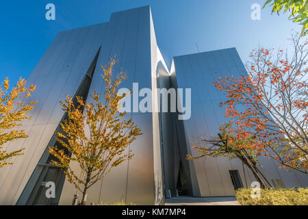 Colori autunnali, foglie Autunnali sugli alberi di Ichou o Ginkgo biloba al Sumida Hokusai Museum (Sumida Hokusai Bijutsukan) Foto Stock