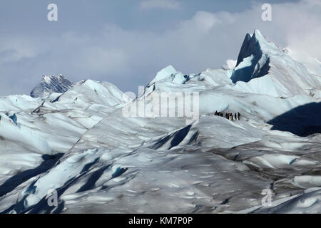 Gli escursionisti sul ghiacciaio Perito Moreno, Parque Nacional Los Glaciares (area del patrimonio mondiale), Patagonia, Argentina, Sud America Foto Stock