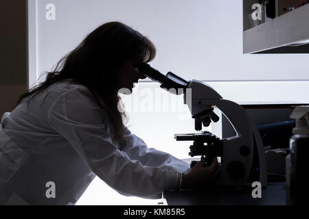 Donna scienziato stagliano usando microscopio Foto Stock