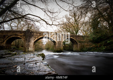 Motion Blur shot del nuovo ponte sul fiume Dart e Dartmoor Foto Stock