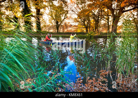 Fiume wey autunno surrey uk giovane paddling loro canoe a valle su una chiara colorate fiume Wey. SURREY REGNO UNITO. Foto Stock