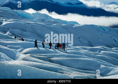 Gli escursionisti sul ghiacciaio Perito Moreno, Parque Nacional Los Glaciares (area del patrimonio mondiale), Patagonia, Argentina, Sud America Foto Stock