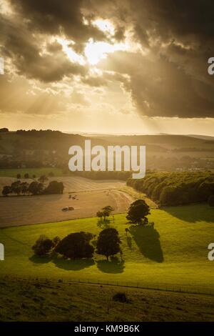 Luce della sera dopo una tempesta getta ombre lunghe oltre nella campagna del Dorset Foto Stock