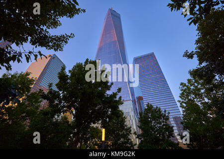 One World Trade Center e 7 WTC skycrapers al tramonto dal Memorial Park. La parte inferiore di Manhattan, il Quartiere Finanziario di New York City Foto Stock