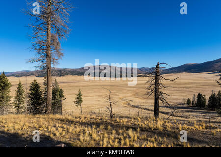 Valles Grande, formata da una forma ripiegata caldera vulcanica e oggi sede di un grande allevamento di elk, in Valles Caldera National Preserve, a preservare gestito dalla N Foto Stock