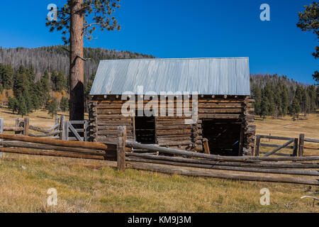 Fienile di registro su una storica ranch a Valles Grande all'interno di Valles Caldera National Preserve, a preservare gestito dal National Park Service, Nuovo Messico, STATI UNITI D'AMERICA Foto Stock