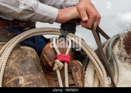 Cowboy a cavallo con la sua corda pronto a lavorare Foto Stock