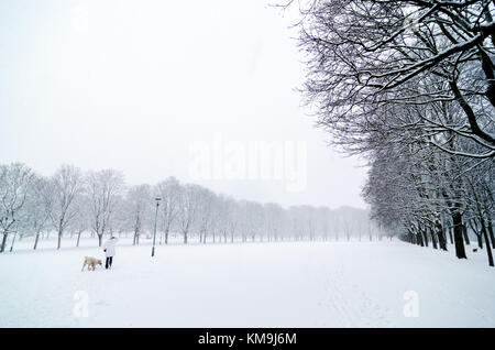 Donna che cammina con il suo cane in un freddo giorno durante una caduta di neve nel Parco Vigeland, Oslo. Winterscape Foto Stock