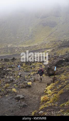 Il leggendario Tongariro via (Tongariro Alpine Crossing) nel Parco Nazionale di Tongariro richiede un sacco di potenza. Per molti la Nuova Zelanda i viaggiatori il percorso sulla North Island è un programma obbligatorio. (05 febbraio 2016) | utilizzo in tutto il mondo Foto Stock