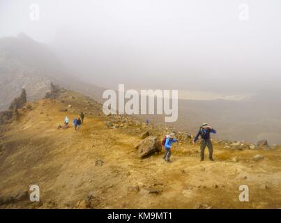 Il leggendario Tongariro via (Tongariro Alpine Crossing) nel Parco Nazionale di Tongariro richiede un sacco di potenza. Per molti la Nuova Zelanda i viaggiatori il percorso sulla North Island è un programma obbligatorio. (05 febbraio 2016) | utilizzo in tutto il mondo Foto Stock