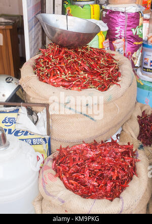 Peperoncini rossi in sacchi, Mysore, Karnataka, India. Foto Stock