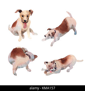 Jackrussell terrier cucciolo di cane del disegno a mano illustrazione ad acquerello Foto Stock