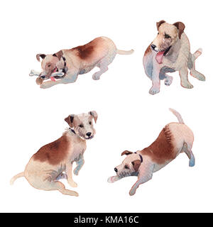 Jackrussell terrier cucciolo di cane del disegno a mano illustrazione ad acquerello Foto Stock