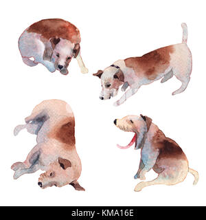 Jackrussell terrier cucciolo di cane del disegno a mano illustrazione ad acquerello Foto Stock