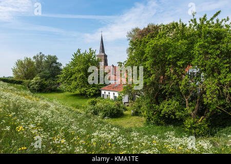 Villaggio olandese dietro la diga nelle pianure alluvionali Foto Stock