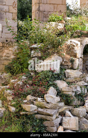 Edificio rovinato essendo recuperato dalla natura. Foto Stock