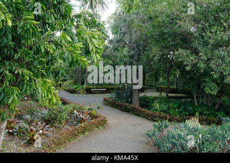 Giardino botanico Jardin Botanico di Puerto de la Cruz Tenerife Isole Canarie canarie Foto Stock