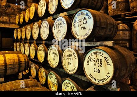 Irish whiskey matura in botti nel magazzino di Locke la Distilleria nella città di Kilbeggan, Westmeath, Irlanda. Foto Stock