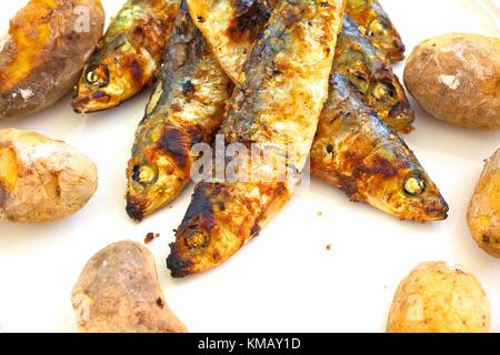 Sardine grigliate, Tavira, Algarve Orientale, Algarve, Portogallo, Europa Foto Stock