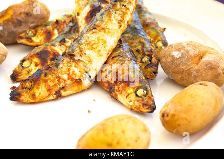 Sardine grigliate, Tavira, Algarve Orientale, Algarve, Portogallo, Europa Foto Stock