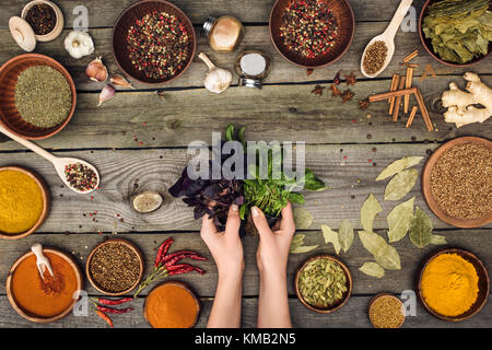 Donna che mantiene mazzetti di basilico Foto Stock