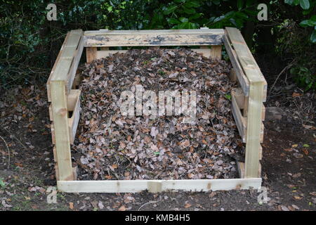 Giardino composter fatta di pallet in legno e pannelli featheredge davanti a cespugli e riempito di autunno e inverno foglie cadere e talee di prato Foto Stock