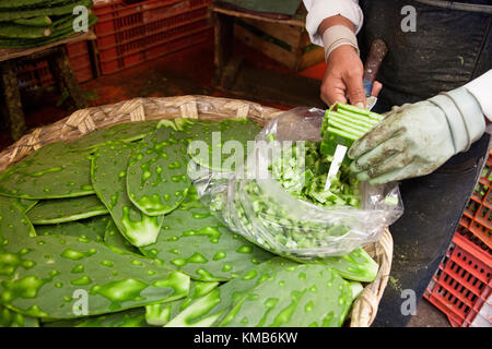 Nopales, Opuntia cactus, in fase di preparazione per la vendita in Città del Messico il Mercado de la Merced.